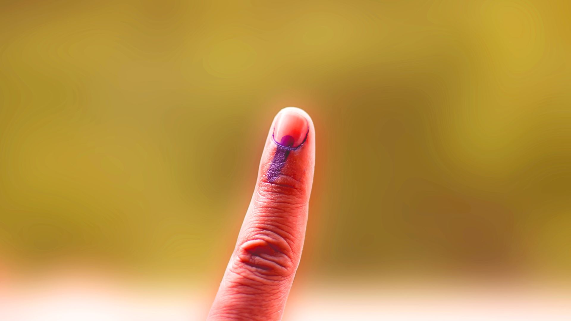 Elections 2024 Phase 2 Facts